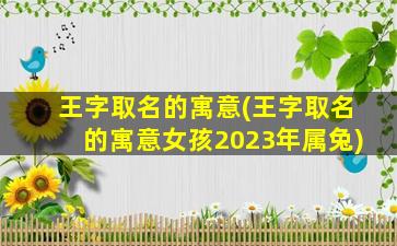 王字取名的寓意(王字取名的寓意女孩2023年属兔)