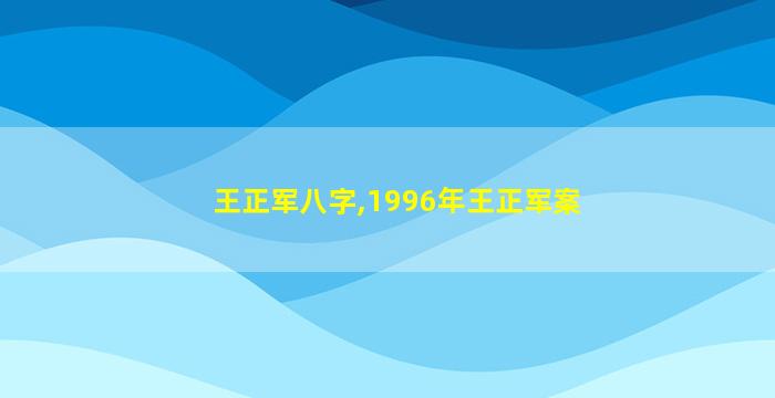 王正军八字,1996年王正军案