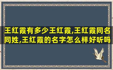 王红霞有多少王红霞,王红霞同名同姓,王红霞的名字怎么样好听吗
