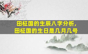 田柾国的生辰八字分析,田柾国的生日是几月几号