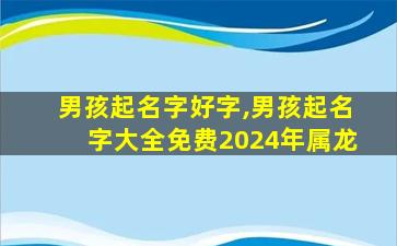 男孩起名字好字,男孩起名字大全免费2024年属龙