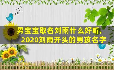 男宝宝取名刘雨什么好听,2020刘雨开头的男孩名字