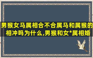 男猴女马属相合不合属马和属猴的相冲吗为什么,男猴和女*
属相婚配好不好