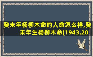 癸未年杨柳木命的人命怎么样,癸未年生杨柳木命(1943,2003)