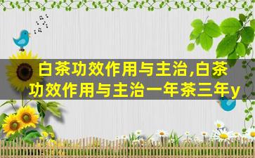 白茶功效作用与主治,白茶功效作用与主治一年茶三年y