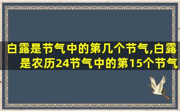 白露是节气中的第几个节气,白露是农历24节气中的第15个节气