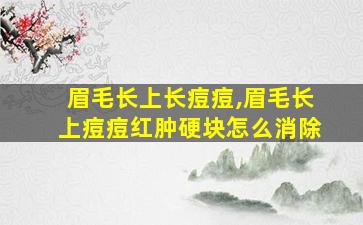 眉毛长上长痘痘,眉毛长上痘痘红肿硬块怎么消除