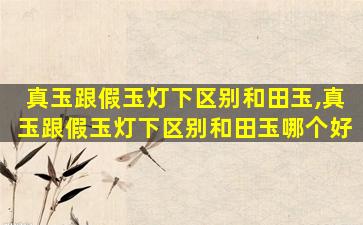 真玉跟假玉灯下区别和田玉,真玉跟假玉灯下区别和田玉哪个好