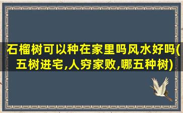 石榴树可以种在家里吗风水好吗(五树进宅,人穷家败,哪五种树)