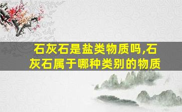 石灰石是盐类物质吗,石灰石属于哪种类别的物质