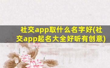 社交app取什么名字好(社交app起名大全好听有创意)