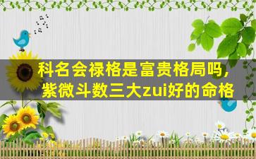 科名会禄格是富贵格局吗,紫微斗数三大zui
好的命格