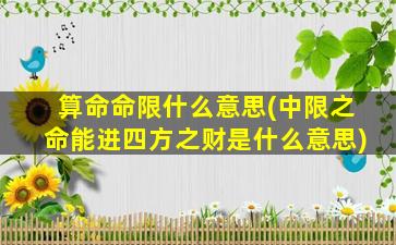 算命命限什么意思(中限之命能进四方之财是什么意思)