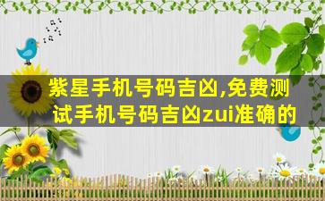 紫星手机号码吉凶,免费测试手机号码吉凶zui
准确的