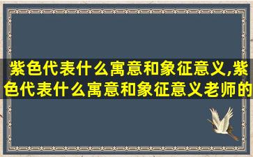 紫色代表什么寓意和象征意义,紫色代表什么寓意和象征意义老师的爱