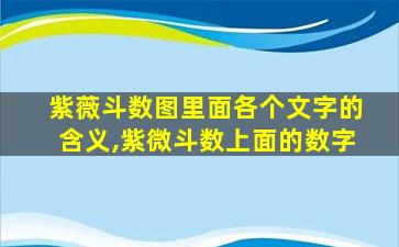 紫薇斗数图里面各个文字的含义,紫微斗数上面的数字