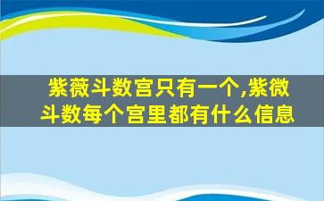 紫薇斗数宫只有一个,紫微斗数每个宫里都有什么信息