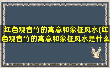 红色观音竹的寓意和象征风水(红色观音竹的寓意和象征风水是什么)