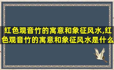 红色观音竹的寓意和象征风水,红色观音竹的寓意和象征风水是什么