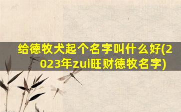 给德牧犬起个名字叫什么好(2023年zui
旺财德牧名字)