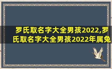 罗氏取名字大全男孩2022,罗氏取名字大全男孩2022年属兔