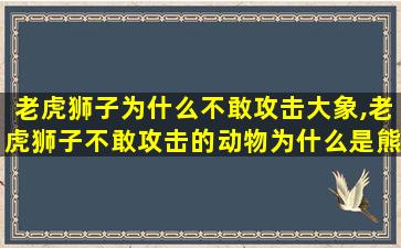 老虎狮子为什么不敢攻击大象,老虎狮子不敢攻击的动物为什么是熊猫