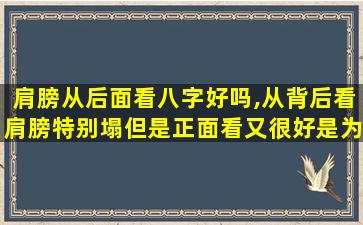 肩膀从后面看八字好吗,从背后看肩膀特别塌但是正面看又很好是为什么