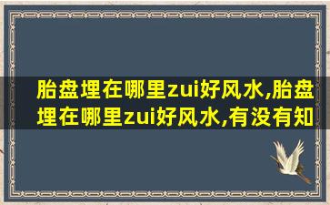 胎盘埋在哪里zui
好风水,胎盘埋在哪里zui
好风水,有没有知道的呢