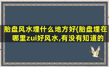 胎盘风水埋什么地方好(胎盘埋在哪里zui
好风水,有没有知道的呢)