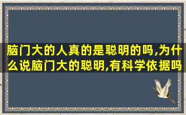 脑门大的人真的是聪明的吗,为什么说脑门大的聪明,有科学依据吗