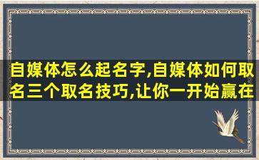 自媒体怎么起名字,自媒体如何取名三个取名技巧,让你一开始赢在起跑线上