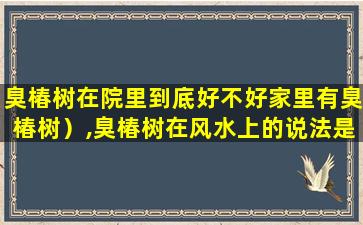 臭椿树在院里到底好不好家里有臭椿树）,臭椿树在风水上的说法是什么种在庭院有哪些忌讳