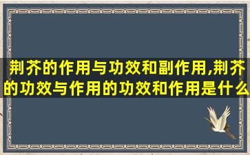 荆芥的作用与功效和副作用,荆芥的功效与作用的功效和作用是什么