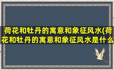 荷花和牡丹的寓意和象征风水(荷花和牡丹的寓意和象征风水是什么)