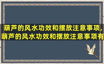 葫芦的风水功效和摆放注意事项,葫芦的风水功效和摆放注意事项有哪些