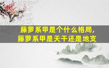 藤萝系甲是个什么格局,藤萝系甲是天干还是地支