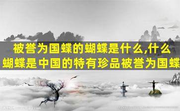 被誉为国蝶的蝴蝶是什么,什么蝴蝶是中国的特有珍品被誉为国蝶