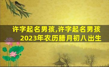 许字起名男孩,许字起名男孩2023年农历腊月初八出生