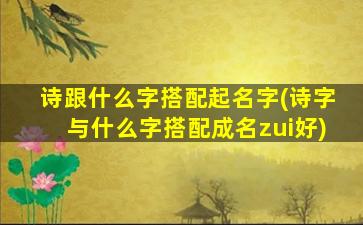 诗跟什么字搭配起名字(诗字与什么字搭配成名zui
好)