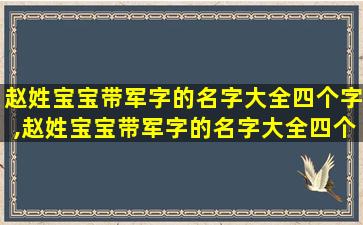 赵姓宝宝带军字的名字大全四个字,赵姓宝宝带军字的名字大全四个字怎么取