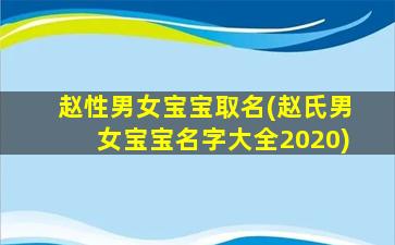 赵性男女宝宝取名(赵氏男女宝宝名字大全2020)