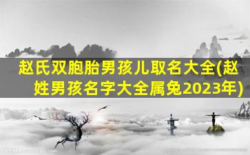 赵氏双胞胎男孩儿取名大全(赵姓男孩名字大全属兔2023年)