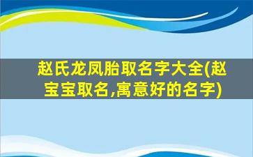 赵氏龙凤胎取名字大全(赵宝宝取名,寓意好的名字)