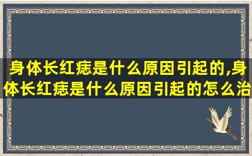 身体长红痣是什么原因引起的,身体长红痣是什么原因引起的怎么治疗