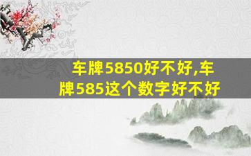 车牌5850好不好,车牌585这个数字好不好