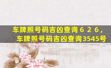 车牌照号码吉凶查询６２６,车牌照号码吉凶查询3545号