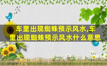 车里出现蜘蛛预示风水,车里出现蜘蛛预示风水什么意思