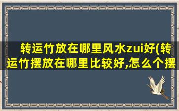 转运竹放在哪里风水zui
好(转运竹摆放在哪里比较好,怎么个摆放)