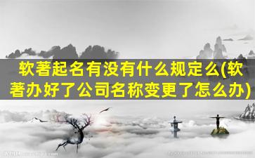 软著起名有没有什么规定么(软著办好了公司名称变更了怎么办)