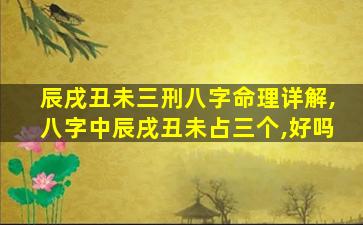 辰戌丑未三刑八字命理详解,八字中辰戌丑未占三个,好吗